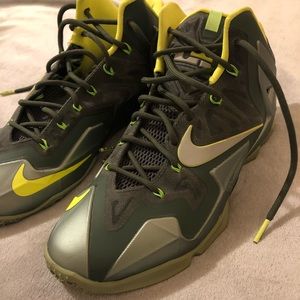 Nike Lebron dunkman shoes